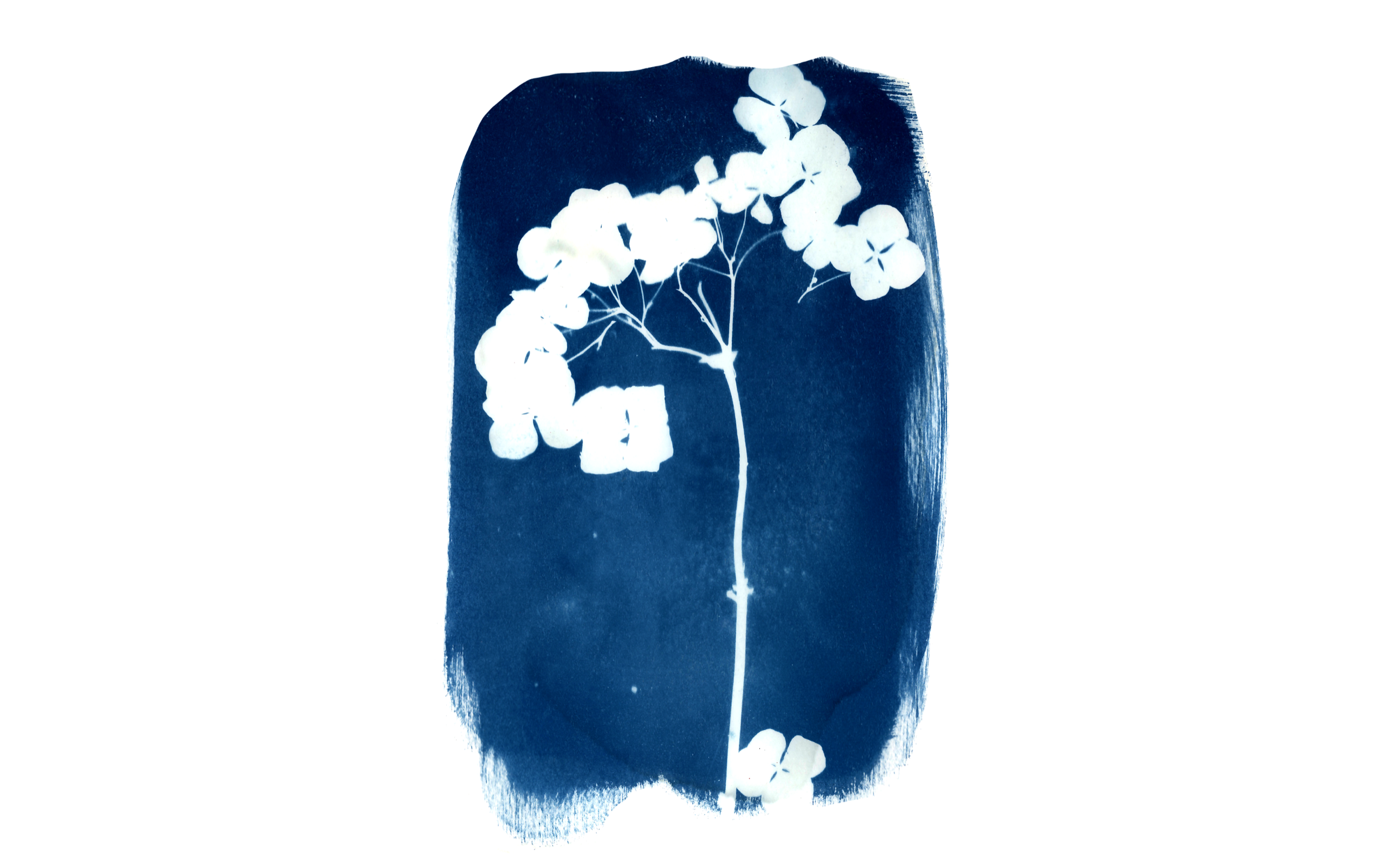 I probably made like a hundred of these, as it was so much fun.