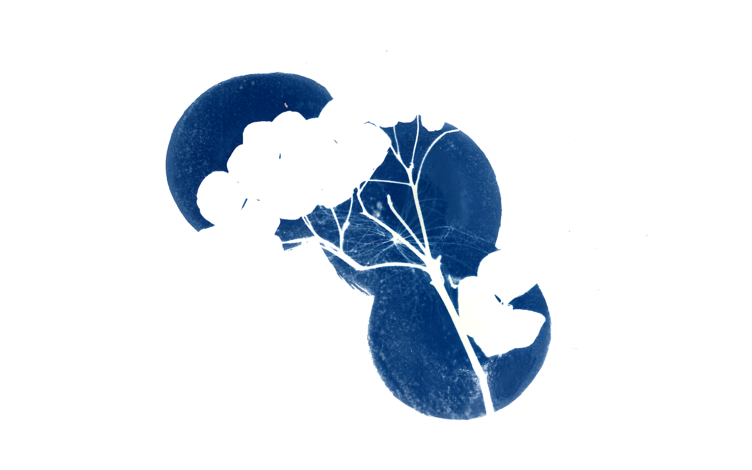 Exploring different compositions and layering.