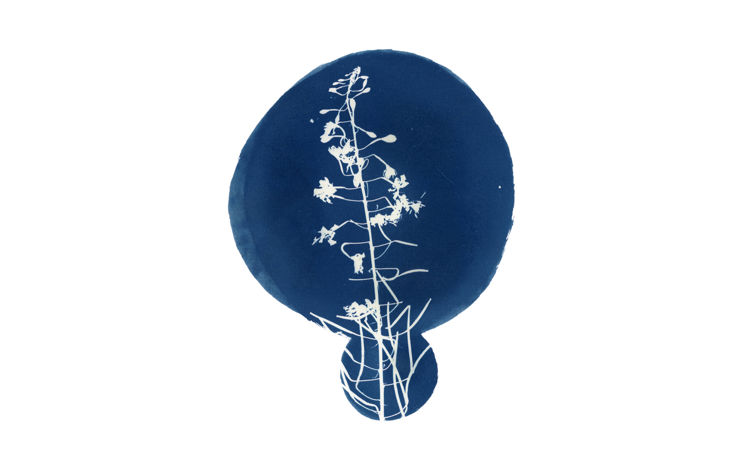 Trying out alternative colour treatments.