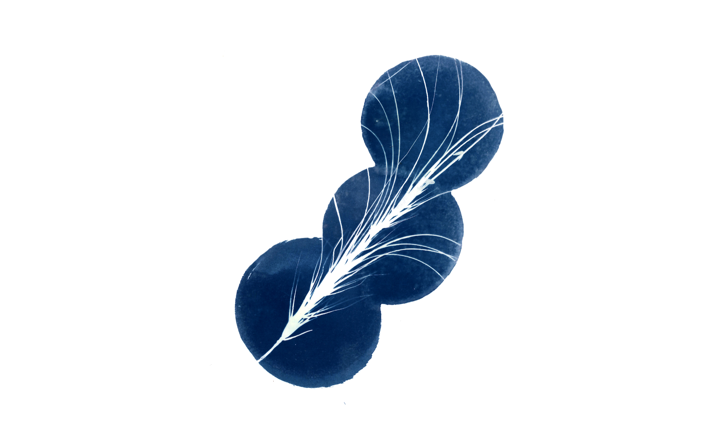 Narrowing down to the final direction.