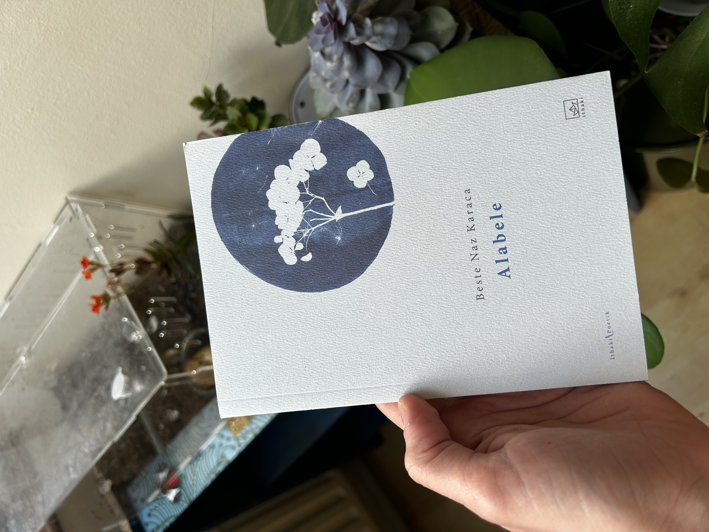 Final cover, it's a poem book by one of my very talented engineer friends. Unfortunately, it's in Turkish.